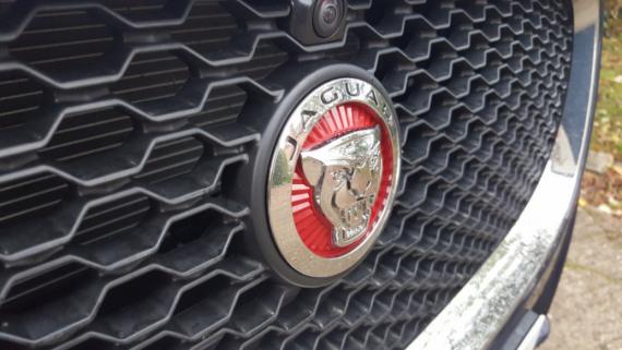 100% Jaguar Keeps Your 3+ Year Old Car At Its Best Image 0