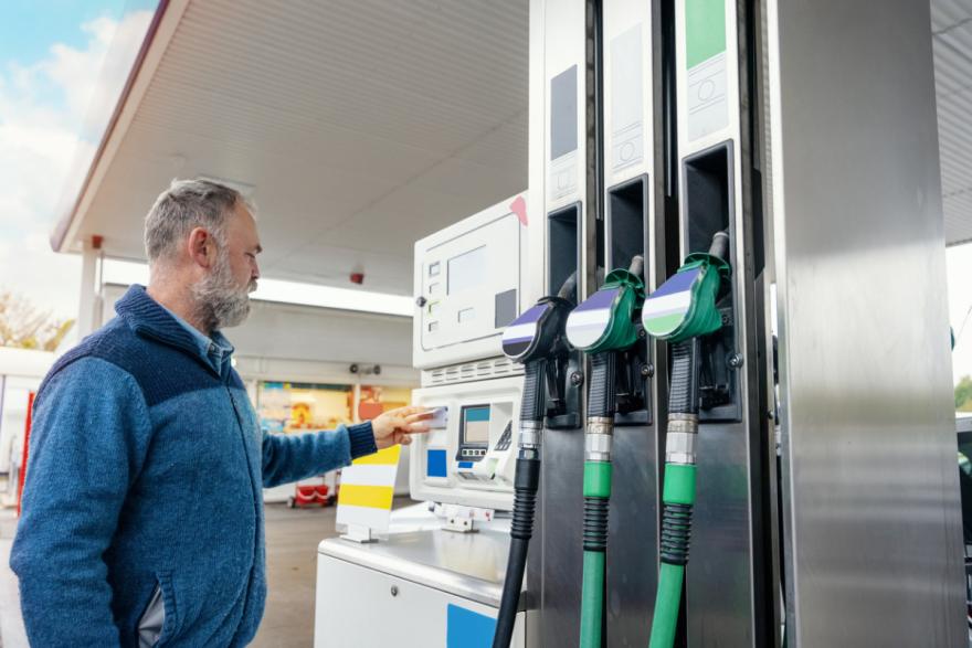 Fuel prices fall sharply after retailers panic when market watchdog highlights their greed