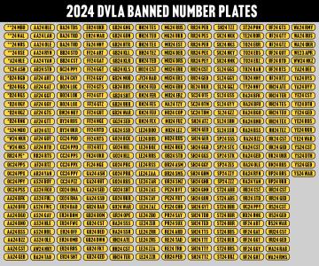 The new '24' number plates banned by DVLA for being offensive