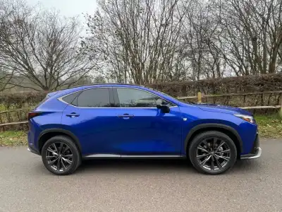 Lexus NX 350h (2022 - )